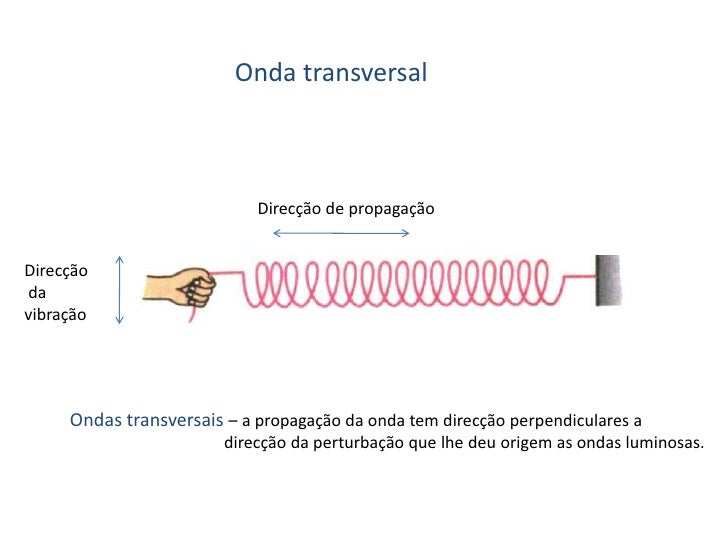 Quais Estruturas Estão Envolvidas Na Produção Do Som