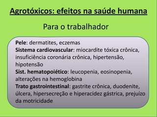 Agrotóxicos: efeitos na saúde humana
            Para o trabalhador
 Pele: dermatites, eczemas
 Sistema cardiovascular: miocardite tóxica crônica,
 insuficiência coronária crônica, hipertensão,
 hipotensão
 Sist. hematopoiético: leucopenia, eosinopenia,
 alterações na hemoglobina
 Trato gastrointestinal: gastrite crônica, duodenite,
 úlcera, hipersecreção e hiperacidez gástrica, prejuízo
 da motricidade
 