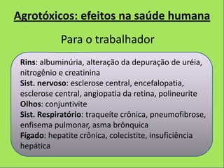 Agrotóxicos: efeitos na saúde humana
            Para o trabalhador
 Rins: albuminúria, alteração da depuração de uréia,
 nitrogênio e creatinina
 Sist. nervoso: esclerose central, encefalopatia,
 esclerose central, angiopatia da retina, polineurite
 Olhos: conjuntivite
 Sist. Respiratório: traqueíte crônica, pneumofibrose,
 enfisema pulmonar, asma brônquica
 Fígado: hepatite crônica, colecistite, insuficiência
 hepática
 
