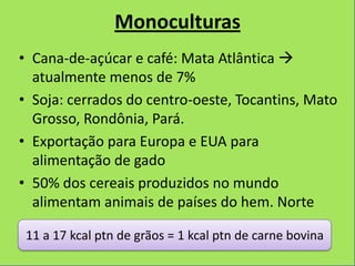 Monoculturas
• Cana-de-açúcar e café: Mata Atlântica 
  atualmente menos de 7%
• Soja: cerrados do centro-oeste, Tocantins, Mato
  Grosso, Rondônia, Pará.
• Exportação para Europa e EUA para
  alimentação de gado
• 50% dos cereais produzidos no mundo
  alimentam animais de países do hem. Norte

 11 a 17 kcal ptn de grãos = 1 kcal ptn de carne bovina
 