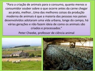 “Para a criação de animais para o consumo, quanto menos o
consumidor souber sobre o que ocorre antes da carne chegar
   ao prato, melhor...Uma das melhores coisas da produção
 moderna de animais é que a maioria das pessoas nos países
desenvolvidos adotaram uma vida urbana, longe do campo, há
  várias gerações e não fazem ideia de como os animais são
                    criados e processados.”
           Peter Cheeke, professor de ciência animal
 