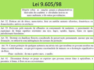 Lei 9.605/98
 