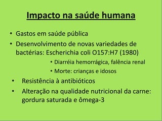 Impacto na saúde humana
• Gastos em saúde pública
• Desenvolvimento de novas variedades de
  bactérias: Escherichia coli O157:H7 (1980)
             • Diarréia hemorrágica, falência renal
             • Morte: crianças e idosos
•   Resistência à antibióticos
•   Alteração na qualidade nutricional da carne:
    gordura saturada e ômega-3
 
