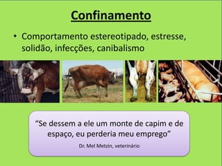 Confinamento
• Comportamento estereotipado, estresse,
  solidão, infecções, canibalismo




     “Se dessem a ele um monte de capim e de
        espaço, eu perderia meu emprego”
                Dr. Mel Metzin, veterinário
 