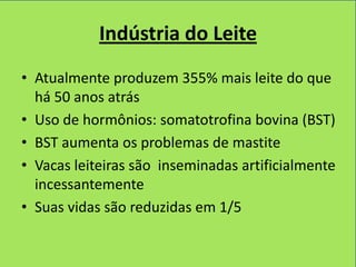 Indústria do Leite
• Atualmente produzem 355% mais leite do que
  há 50 anos atrás
• Uso de hormônios: somatotrofina bovina (BST)
• BST aumenta os problemas de mastite
• Vacas leiteiras são inseminadas artificialmente
  incessantemente
• Suas vidas são reduzidas em 1/5
 