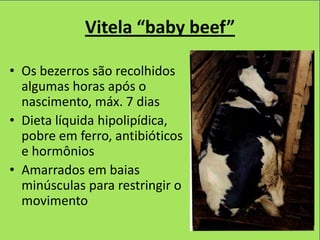 Vitela “baby beef”

• Os bezerros são recolhidos
  algumas horas após o
  nascimento, máx. 7 dias
• Dieta líquida hipolipídica,
  pobre em ferro, antibióticos
  e hormônios
• Amarrados em baias
  minúsculas para restringir o
  movimento
 