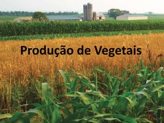Produção de Vegetais
 