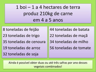 1 boi – 1 a 4 hectares de terra
           produz 210kg de carne
                 em 4 a 5 anos
8 toneladas de feijão             44 toneladas de batata
23 toneladas de trigo             22 toneladas de maçã
35 toneladas de cenoura           34 toneladas de milho
19 toneladas de arroz             56 toneladas de tomate
32 toneladas de soja
   Ainda é possível obter duas ou até três safras por ano desses
                      vegetais combinados!
 