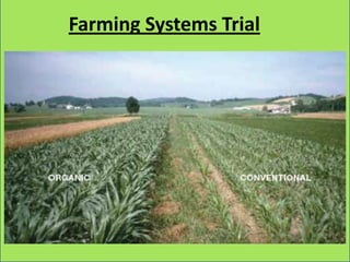 Farming Systems Trial
 