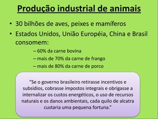 Produção industrial de alimentos e seus impactos