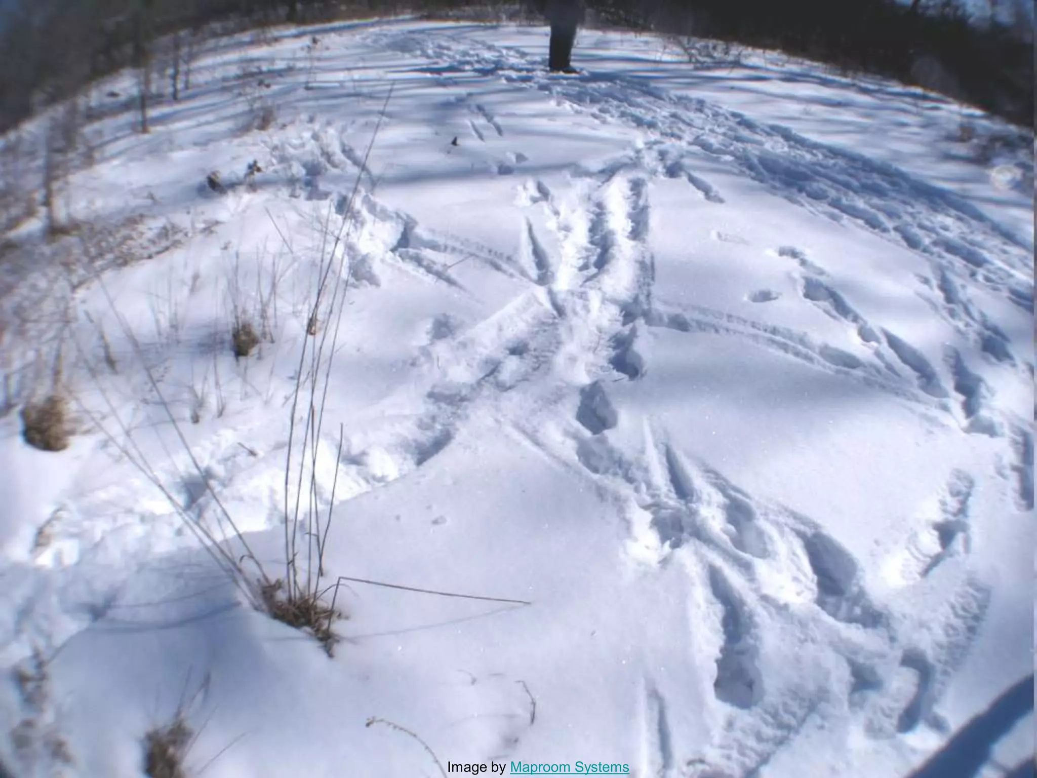 Image by Maproom Systems
 