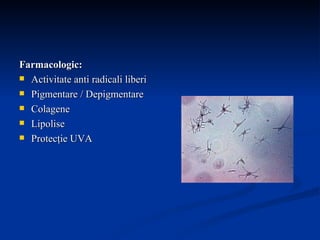 Farmacologic: Activitate anti radicali liberi Pigmentare / Depigmentare Colagene Lipolise Protecţie UVA  