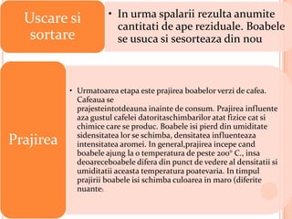 Uscare si           • In urma spalarii rezulta anumite
                        cantitati de ape reziduale. Boabele
   sortare              se usuca si sesorteaza din nou



           • Urmatoarea etapa este prajirea boabelor verzi de cafea.
             Cafeaua se
             prajesteintotdeauna inainte de consum. Prajirea influente
             aza gustul cafelei datoritaschimbarilor atat fizice cat si
             chimice care se produc. Boabele isi pierd din umiditate
             sidensitatea lor se schimba, densitatea influenteaza
Prajirea     intensitatea aromei. In general,prajirea incepe cand
             boabele ajung la o temperatura de peste 200° C., insa
             deoareceboabele difera din punct de vedere al densitatii si
             umiditatii aceasta temperatura poatevaria. In timpul
             prajirii boabele isi schimba culoarea in maro (diferite
             nuante).
 