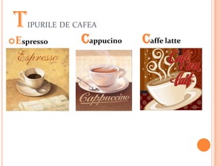 T   IPURILE DE CAFEA

Espresso        Cappucino   Caffe latte
 