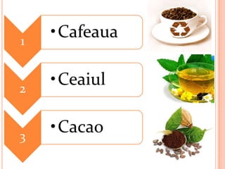 1
    •Cafeaua


2
    •Ceaiul


3
    •Cacao
 
