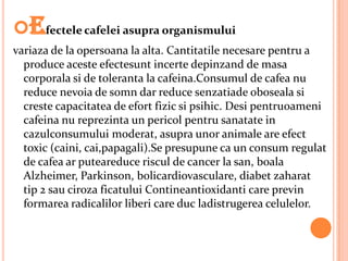 Efectele cafelei asupra organismului
variaza de la opersoana la alta. Cantitatile necesare pentru a
  produce aceste efectesunt incerte depinzand de masa
  corporala si de toleranta la cafeina.Consumul de cafea nu
  reduce nevoia de somn dar reduce senzatiade oboseala si
  creste capacitatea de efort fizic si psihic. Desi pentruoameni
  cafeina nu reprezinta un pericol pentru sanatate in
  cazulconsumului moderat, asupra unor animale are efect
  toxic (caini, cai,papagali).Se presupune ca un consum regulat
  de cafea ar puteareduce riscul de cancer la san, boala
  Alzheimer, Parkinson, bolicardiovasculare, diabet zaharat
  tip 2 sau ciroza ficatului Contineantioxidanti care previn
  formarea radicalilor liberi care duc ladistrugerea celulelor.
 