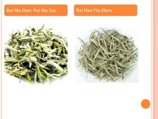 Bai Mu Dan/ Pai Mu Tan   Bai Hao Yin Zhen
 