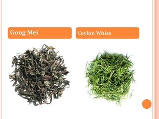 Gong Mei   Ceylon White
 