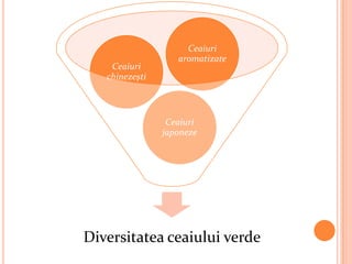 Ceaiuri
                   aromatizate
    Ceaiuri
   chinezești



                 Ceaiuri
                japoneze




Diversitatea ceaiului verde
 