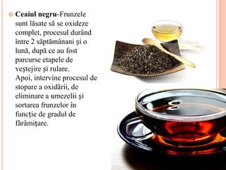    Ceaiul negru-Frunzele
    sunt lăsate să se oxideze
    complet, procesul durând
    între 2 săptămânani și o
    lună, după ce au fost
    parcurse etapele de
    veștejire și rulare.
    Apoi, intervine procesul de
    stopare a oxidării, de
    eliminare a umezelii și
    sortarea frunzelor în
    funcție de gradul de
    fărâmițare.
 