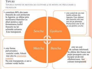 TIPURI
  TIPURILE DEPIND DE METODA DE CULTIVARE șI DE MODUL DE PRELUCRARE A
  FRUNZELOR

• constituie 80% din toate                               • este ceaiul de cea mai
  frunzele de ceai prelucrate                              înaltă calitate din
  în Japonia; se obține prin                               Japonia. Este obținut
  sterilizarea frunzelor cu                                din frunzele cele mai
  aburi pentru a opri                                      moi de pe plantație
  fermentarea Astfel                                       Prelucrarea este la fel
                                                           ca cea pentru sencha
  frunzele nu își
  schimbă culoarea.
   Este transparent.              Sencha   Gyokuro



                                                          •        este un ceai
• este forma                      Matcha    Bancha              de calitate inferioară.
  pulverizată a
                                                              Se obține din frunze mai
   ceaiului verde, folosit                                    puțin proaspete care au
   mai ales la ceremonia                                      început să devină
  ceaiului.                                                   sfărâmicioase. Are
  Nu este transparent, ci are o                               culoare transparentă
  culoare verde închis
 