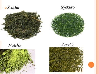  Sencha   Gyokuro




  Matcha   Bancha
 