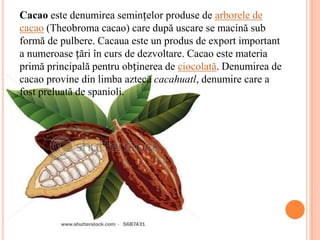 Cacao este denumirea semințelor produse de arborele de
cacao (Theobroma cacao) care după uscare se macină sub
formă de pulbere. Cacaua este un produs de export important
a numeroase țări în curs de dezvoltare. Cacao este materia
primă principală pentru obținerea de ciocolată. Denumirea de
cacao provine din limba aztecă cacahuatl, denumire care a
fost preluată de spanioli.
 