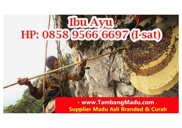 CALL 0858 9566 6697 (I-sat) Madu Bunga Kaliandra Yogyakarta