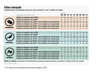 Fonte: http://www.universitario.com.br/noticias/n.php?i=13870
 