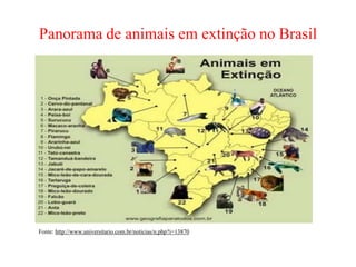 Panorama de animais em extinção no Brasil
Fonte: http://www.universitario.com.br/noticias/n.php?i=13870
 