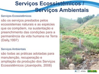 Serviços Ecossistêmicos /
Serviços Ambientais
Serviços Ecossistêmicos
são os serviços prestados pelos
ecossistemas naturais e as espécies
que os compõem, na sustentação e
preenchimento das condições para a
permanência da vida humana na Terra
(Daily,1997)
Serviços Ambientais
são todas as práticas adotadas para
manutenção, recuperação e
ampliação da produção dos Serviços
Ecossistêmicos (Joanópolis, 2008)
 
