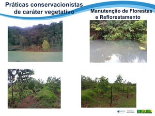 Práticas conservacionistas
de caráter vegetativo Manutenção de Florestas
e Reflorestamento
 