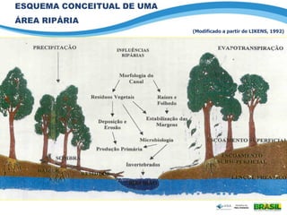 ESQUEMA CONCEITUAL DE UMA
ÁREA RIPÁRIA
(Modificado a partir de LIKENS, 1992)
 