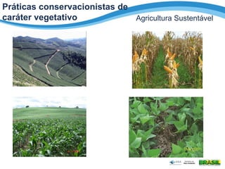 Agricultura Sustentável
Práticas conservacionistas de
caráter vegetativo
 