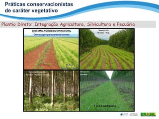 Plantio Direto: Integração Agricultura, Silvicultura e Pecuária
Práticas conservacionistas
de caráter vegetativo
 
