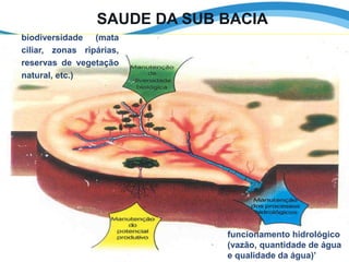 funcionamento hidrológico
(vazão, quantidade de água
e qualidade da água)’
biodiversidade (mata
ciliar, zonas ripárias,
reservas de vegetação
natural, etc.)
SAUDE DA SUB BACIA
 