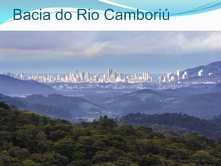 Bacia do Rio Camboriú
 