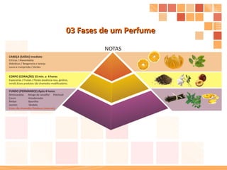 03 Fases de um Perfume 