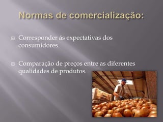 Normas de comercialização:Corresponder ás expectativas dos consumidoresComparação de preços entre as diferentes qualidades de produtos.