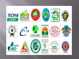 IGP (Indicação Geografia Protegida)