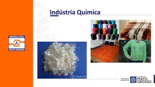 Indústria Química
 