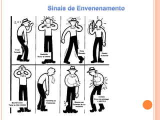 Sinais de Envenenamento
