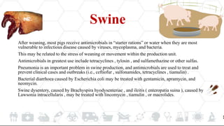 Swine
After weaning, most pigs receive antimicrobials in “starter rations” or water when they are most
vulnerable to infectious disease caused by viruses, mycoplasma, and bacteria.
This may be related to the stress of weaning or movement within the production unit.
Antimicrobials in greatest use include tetracyclines , tylosin , and sulfamethazine or other sulfas.
Pneumonia is an important problem in swine production, and antimicrobials are used to treat and
prevent clinical cases and outbreaks (i.e., ceftiofur , sulfonamides, tetracyclines , tiamulin) .
Bacterial diarrhoea caused by Escherichia coli may be treated with gentamicin, apramycin, and
neomycin.
Swine dysentery, caused by Brachyspira hyodysenteriae , and ileitis ( enteropatia suina ), caused by
Lawsonia intracellularis , may be treated with lincomycin , tiamulin , or macrolides.
 