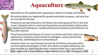 Aquaculture
Salmonids are the predominant aquaculture species in Europe and Canada.
No antimicrobials are registered for growth-promotion purposes, and only four
are licensed for therapy.
Treatments are administered in the feed to the entire group of fish in the tank
or pen. Oxytetracycline is used most frequently, but potentiated sulfonamides
(sulfadiazine/trimethoprim, sulfadimethoxine/ormetoprim) and florfenicol are
also administered .
The primary bacterial diseases of concern in salmon and trout culture are
septicemias caused by various bacterial pathogens, namely Aeromonas
salmonicida, and Renibacterium salmoninarum .
However, there are now licensed vaccines for all of these and many other
common bacterial pathogens of fish, all of which are highly efficacious and
have resulted in a significant decrease in antimicrobial use in aquaculture.
Most antimicrobial treatments are administered to juveniles (Sheppard, 2000)
 