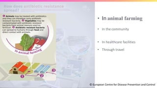 • In animal farming
• In the community
• In healthcare facilities
• Through travel
© European Centre for Disease Prevention and Control
 