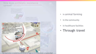 • In animal farming
• In the community
• In healthcare facilities
• Through travel
https://ugc.futurelearn.com/uploads/files/cd/a9/cda91840-8c97-4464-a510-94a9355186e5/Selection_and_spread_MP.pdf
 