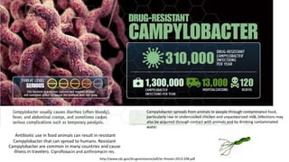 Antibiotic use in food animals can result in resistant
Campylobacter that can spread to humans. Resistant
Campylobacter are common in many countries and cause
illness in travelers. Ciprofloxacin and azithromycin res.
http://www.cdc.gov/drugresistance/pdf/ar-threats-2013-508.pdf
Campylobacter spreads from animals to people through contaminated food,
particularly raw or undercooked chicken and unpasteurized milk. Infections may
also be acquired through contact with animals and by drinking contaminated
water.
 