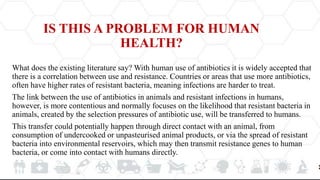 IS THIS A PROBLEM FOR HUMAN
HEALTH?
What does the existing literature say? With human use of antibiotics it is widely accepted that
there is a correlation between use and resistance. Countries or areas that use more antibiotics,
often have higher rates of resistant bacteria, meaning infections are harder to treat.
The link between the use of antibiotics in animals and resistant infections in humans,
however, is more contentious and normally focuses on the likelihood that resistant bacteria in
animals, created by the selection pressures of antibiotic use, will be transferred to humans.
This transfer could potentially happen through direct contact with an animal, from
consumption of undercooked or unpasteurised animal products, or via the spread of resistant
bacteria into environmental reservoirs, which may then transmit resistance genes to human
bacteria, or come into contact with humans directly.
 