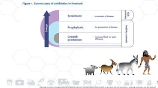 https://ugc.futurelearn.com/uploads/files/58/9e/589e64d4-cade-4bc7-bc06-b0e9c966ed13/Antimicrobials_in_agriculture_and_the_environment_-_Reducing_unnecessary_use_and_waste.pdf
 