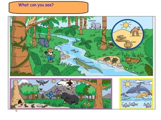 What can you see? bear ants bat crocodile dolphin eagle snake monkey elephant tiger hippopotamus butterfly 